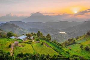 Read more about the article Discover the Pearl of Africa: Why Visit Uganda as a Tourist Destination?