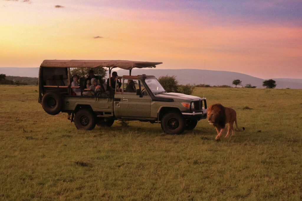 10 Mistakes First Time Safari Travelers Make