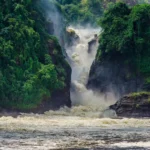 Murchison Falls National Park