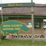 Queen Elizabeth National Park safari