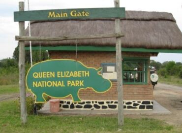 Queen Elizabeth National Park safari