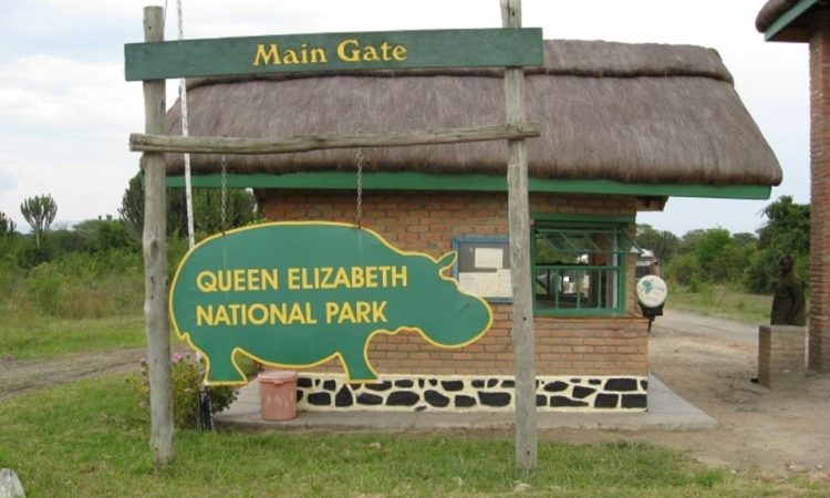 Queen Elizabeth National Park Safari Cost – Prices, Packages & What to Expect