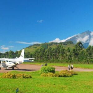 Read more about the article Chartered Flights to Bwindi Impenetrable National Park, Uganda