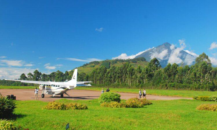 Chartered Flights to Bwindi Impenetrable National Park, Uganda