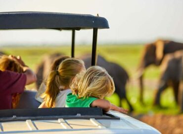 Uganda family safari