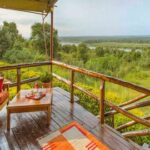 Luxury uganda safari