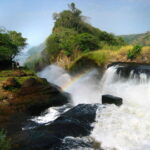 Murchison Falls Safari