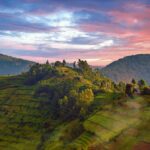 travel guide uganda rwanda