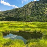 Semuliki and Kibale National Park