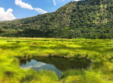 Semuliki and Kibale National Park