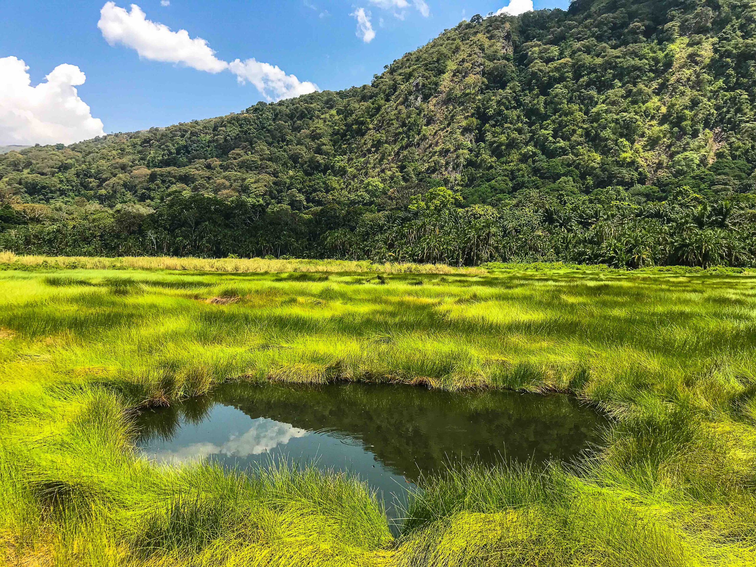 Semuliki and Kibale National Park