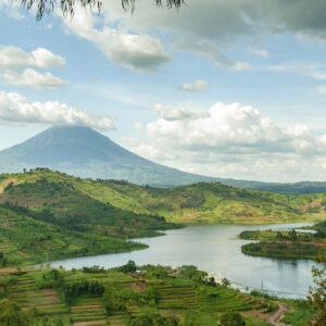Read more about the article A Complete Travel Safety Guide for Tourists in Uganda
