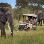 14 days Uganda safari