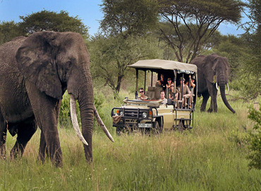 14 days Uganda safari