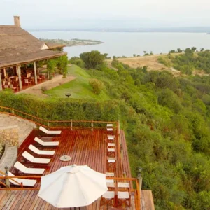 Read more about the article Why Spend Christmas in Queen Elizabeth National Park?