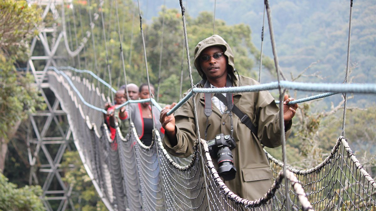 Read more about the article Nyungwe National Park: Rwanda’s Pristine Rainforest & Primate Paradise