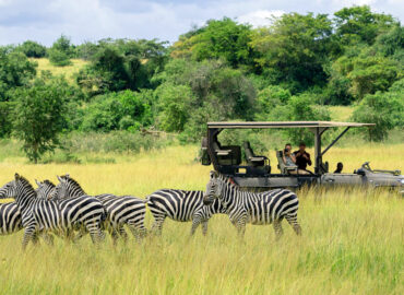 Akagera National Park