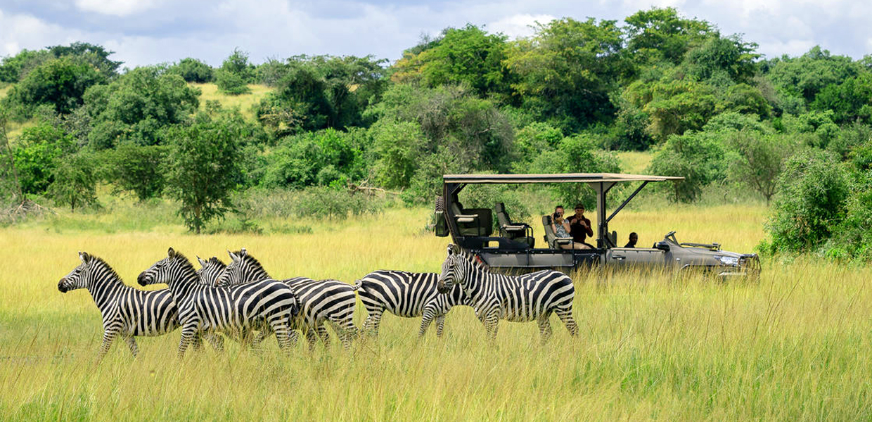 Akagera National Park Rwanda: A Complete Safari Guide