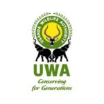 WhatsApp Image 2025-11-01 at 6.19.31 PM