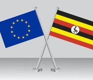 Read more about the article Traveling to Uganda During an Election: An Insider’s Guide