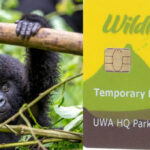 gorilla trekking permit cost