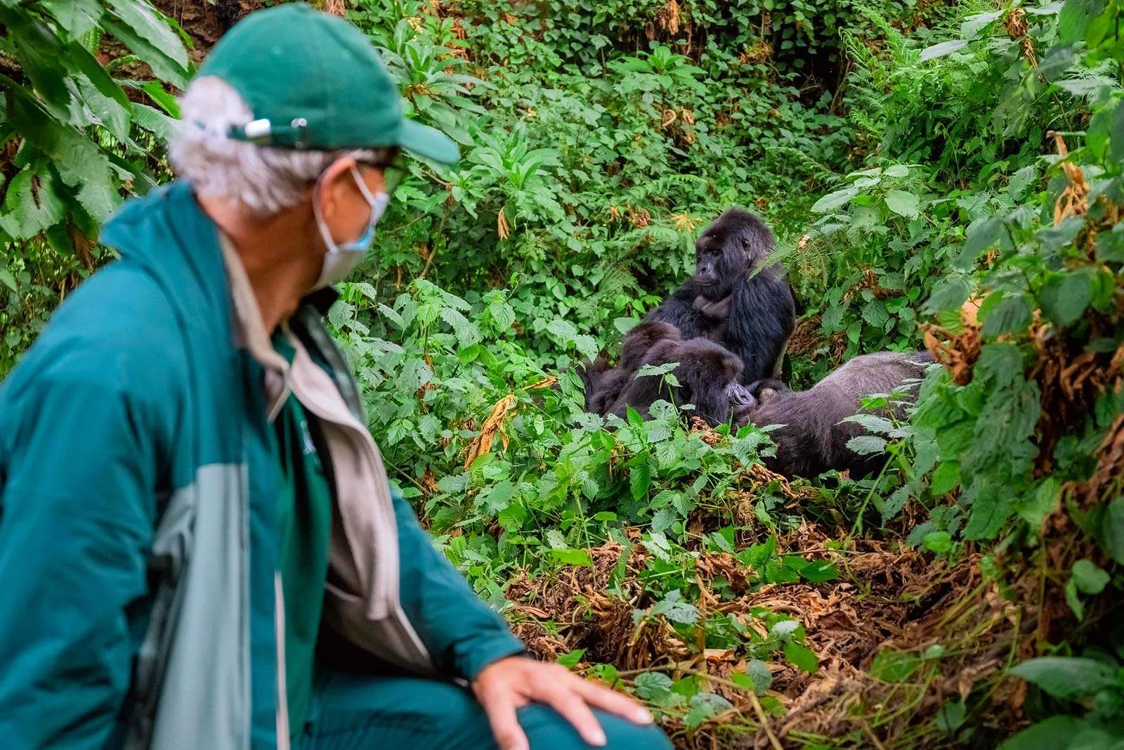Read more about the article What to Really Expect on Your Bwindi Gorilla Trek