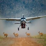 Kidepo Fly-In Safari Uganda