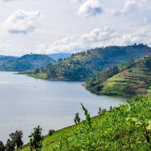 Read more about the article Is It Safe for American Tourists to Visit Uganda?