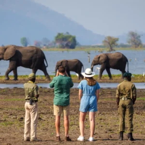 Read more about the article Why a Small Group Safari is the Smartest Way to Experience Uganda & Rwanda