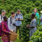 Solo travelers in East Africa