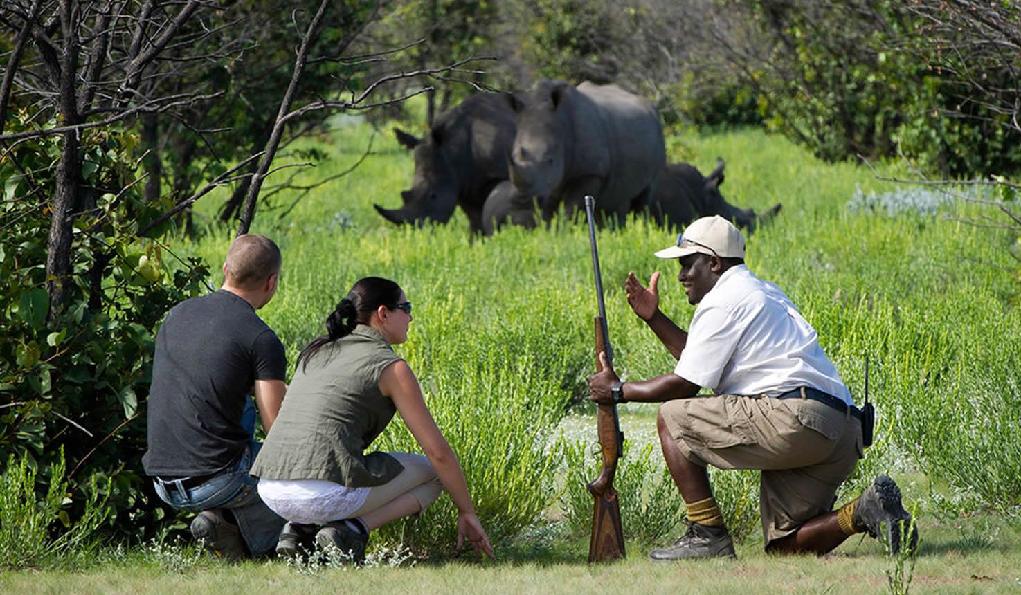 You are currently viewing Majestic and Endangered: Key Facts About the Rhinoceros