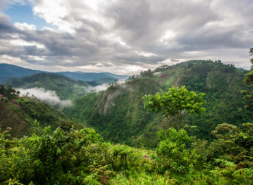 Bwindi Impenetrable Forest