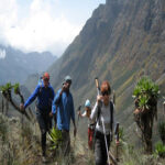 Rwenzori Hiking Tour