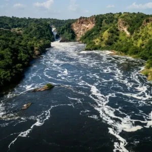 Read more about the article Discover the Wonders of Nile River Safaris in Uganda