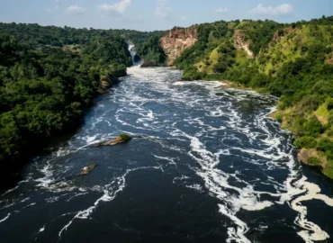 Uganda Nile River safari