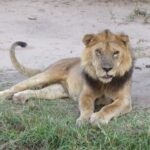 Mweya in queen Elizabeth national park