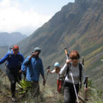 Rwenzori Hiking Tour