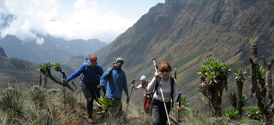 You are currently viewing 10 Days Rwenzori Mountain Hiking – Conquer the Mountains of the Moon