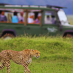 20 Best Tailor-made Safari Companies in Uganda