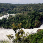 3-Day Big 5 Midrange Safari in Murchison Falls