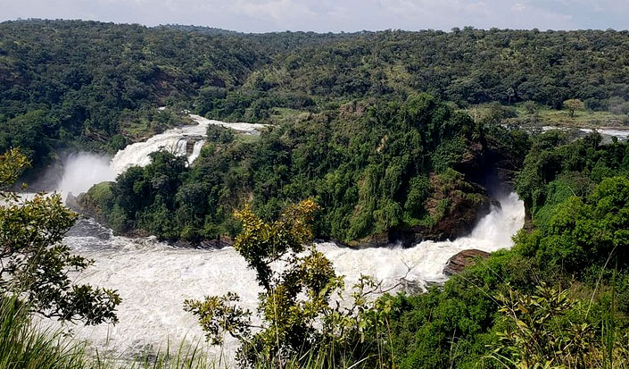 You are currently viewing 3-Day Big 5 Midrange Safari in Murchison Falls