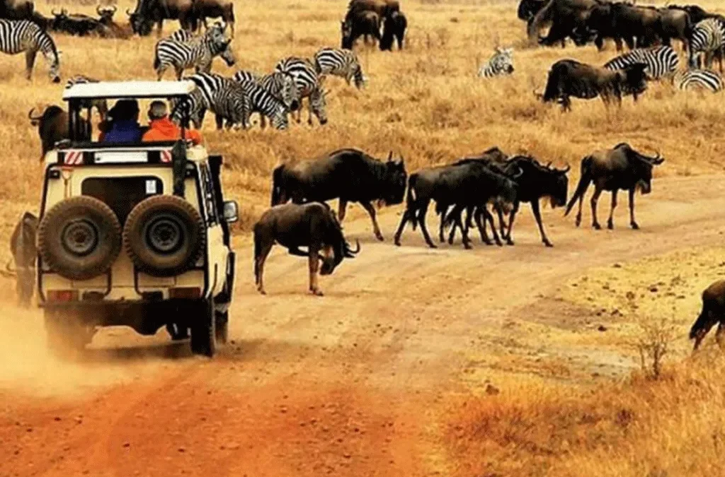 You are currently viewing 9-Day Rwanda, Uganda, Tanzania Gorillas &Wildlife Safari