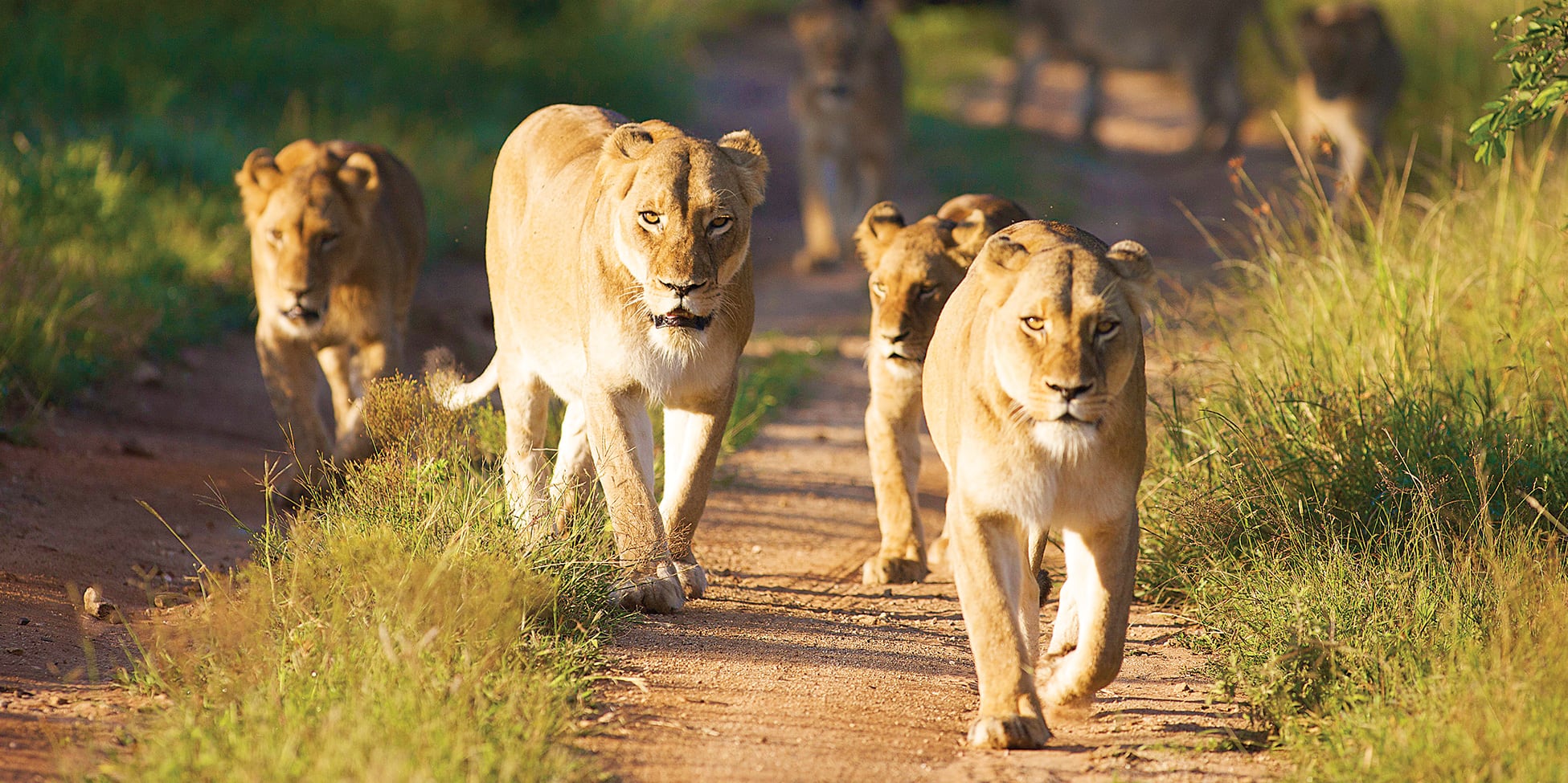 You are currently viewing Top 12 Eco-Adventures in Africa