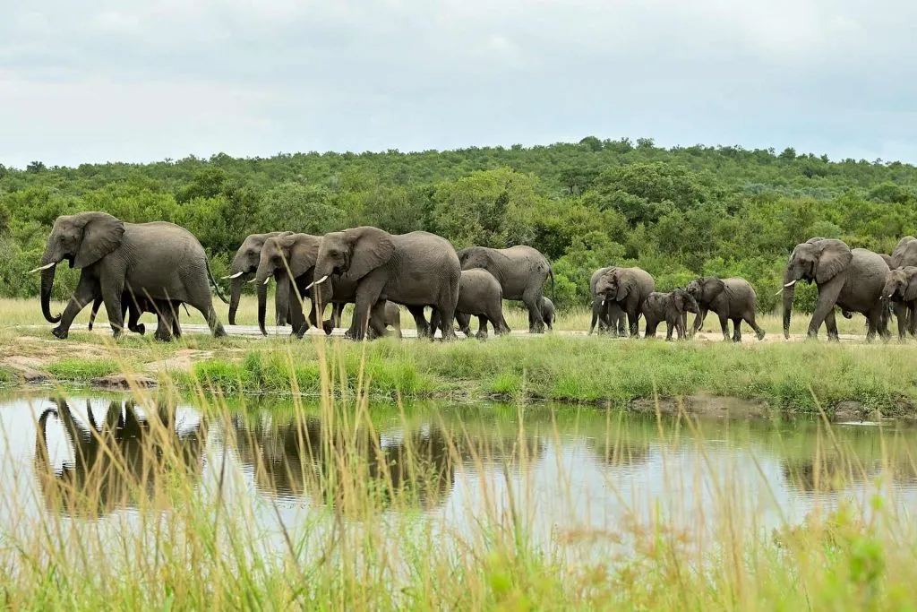 You are currently viewing 8-Day The Big-5 Uganda Tour
