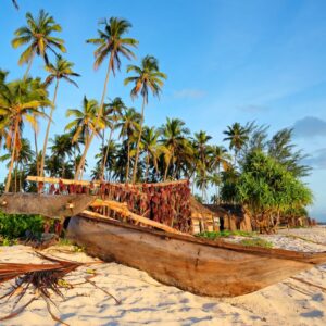 Read more about the article 21-Day Uganda and Zanzibar Safari Itinerary – The Ultimate East Africa Bush & Beach Adventure