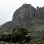 mount elgon national park