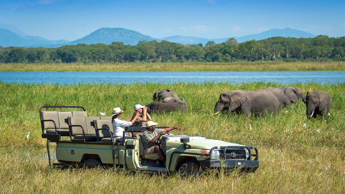 Read more about the article Destination Management Services in Uganda-Muganzi Safaris.