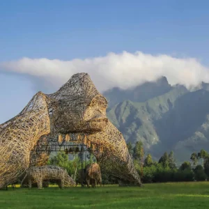 Read more about the article Guide To Rwanda’s National Parks