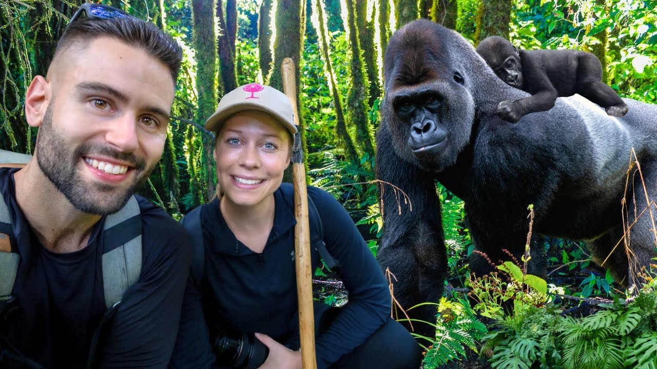 You are currently viewing Why Uganda Leads in Gorilla Tourism