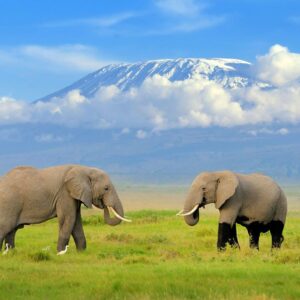 Read more about the article  East Africa Gay Travel Safari: Top LGBTQ+ Friendly Destinations Africa Tours